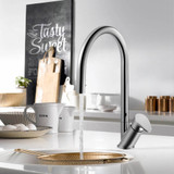 Polished Chrome (PC)