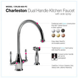 Polished Chrome (PC)