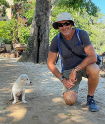 How to manage Simple Diarrhea in Dogs and Cats 