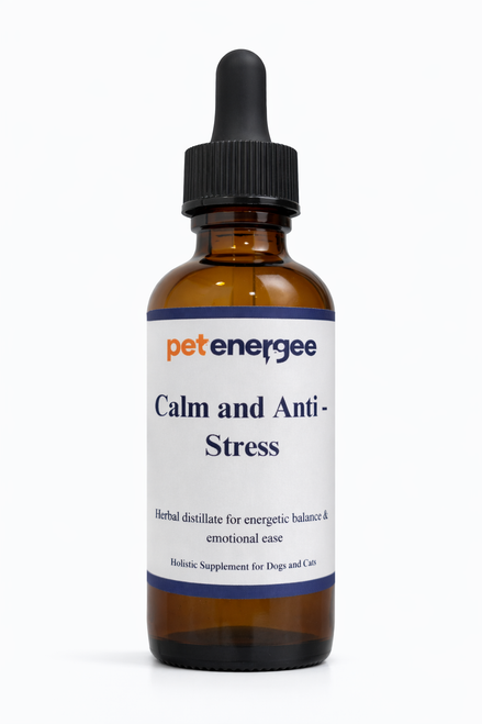 Calm and Anti-Stress