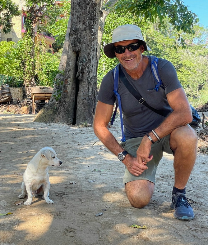 How to manage Simple Diarrhea in Dogs and Cats 