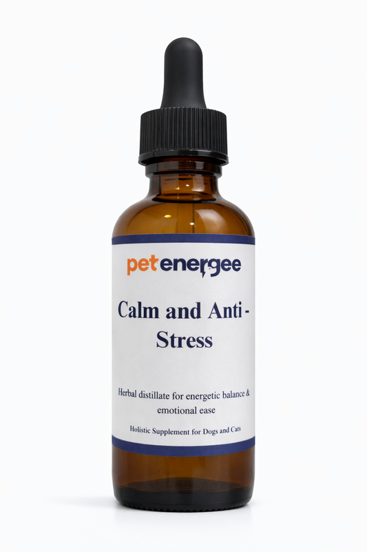 Calm and Anti-Stress