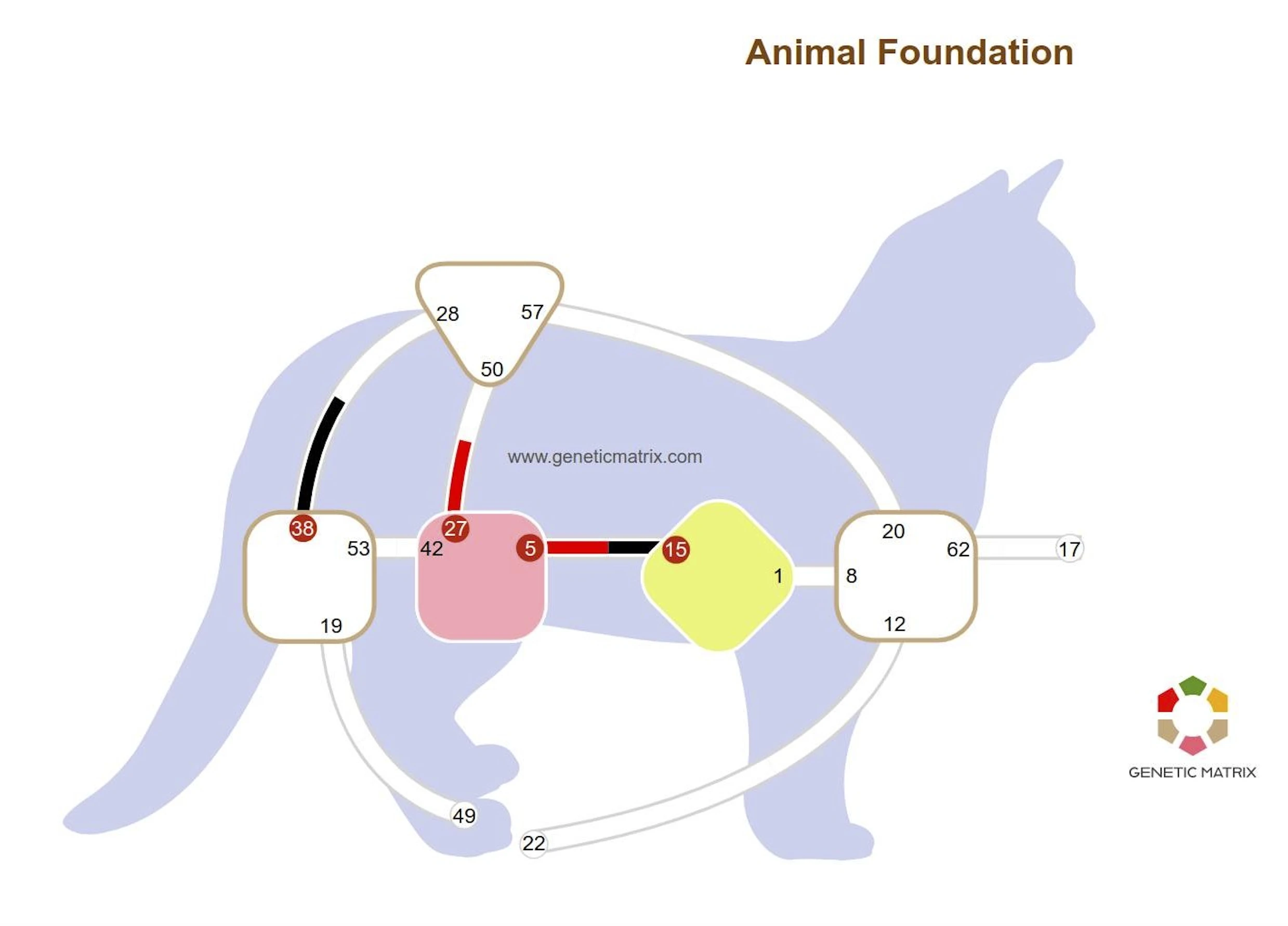 Animal Body Graph 2