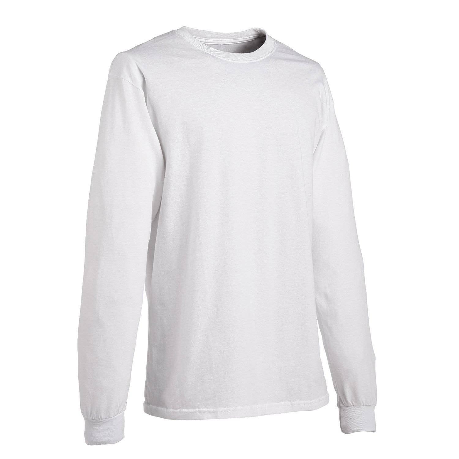 Hanes Long Sleeve Heavyweight T Shirt