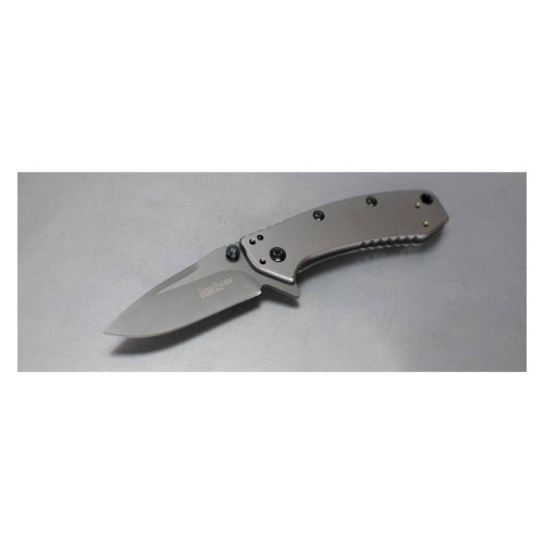 Kershaw Cryo Knife