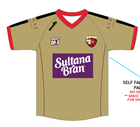 NSW Pride - Replica Playing Top (Kids)