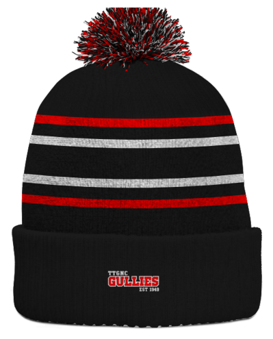 TTRE - Tea Tree Gully Netball Club - Beanie