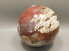 Petrified Wood Sphere Stone Large 3.5 inch Mineral Ball Madagascar #OM2
