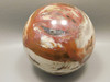 Petrified Wood Sphere Stone Large 3.5 inch Mineral Ball Madagascar #OM2