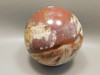 Petrified Wood Sphere Stone Large 3.5 inch Mineral Ball Madagascar #OM2