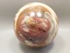 Petrified Wood Sphere Stone Large 3.5 inch Mineral Ball Madagascar #OM2
