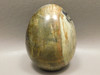Arizona Pietersite Gemstone Egg Carving Rare 2.3 inch Tigereye #O6