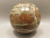 Petrified Wood 2.5 inch Stone Sphere Fossil Northwestern USA #O90