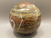 Petrified Wood 2.5 inch Stone Sphere Fossil Northwestern USA #O90