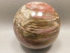 Petrified Wood Sphere Stone 2.75 inch Mineral Ball Madagascar #OM1