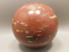 Petrified Wood Sphere Stone Arizona Rainbow Conifer 2.75 inch Ball #OT1