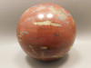 Petrified Wood Sphere Stone Arizona Rainbow Conifer 2.75 inch Ball #OT1