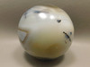 Madagascar Agate Sphere 2.75 inch Stone Mineral Ball Rock #O3