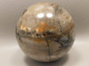 Arizona Petrified Wood Sphere Stone 3 inch or 75 mm Ball #OA2