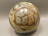 Septarian Nodule Stone 3 inch Sphere Ball Rock 78 mm Ball Utah #O6