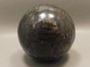 Sphere Petrified Wood Black Palm Polka Dot 2.5 inch Indonesia #O12