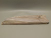 Willow Creek Picture Jasper Rough Rock Stone Slab Lapidary Idaho #O6