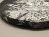 Chrysanthemum Stone Large Plate 9.5 inch Natural Decorator Rock #O21