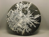 Chrysanthemum Stone Large Plate 9.5 inch Natural Decorator Rock #O21