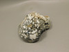 Howlite Decorator Polished Rock White Stone Tick Canyon California #O30