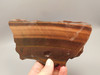 Red Tigereye Rough Rock Lapidary Tigers Eye Stone Slab Cabbing #O11