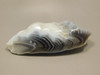 Botswana Agate Polished Stone Nodule Collector Rock Mineral #O4