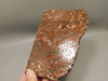 Copper Rose Native Copper Slab Rough Rock Lapidary Michigan #O5