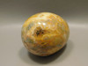 Crazy Lace Agate Egg Shaped 2 inch Polished Rock Gemstone #O1