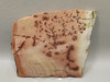 Red Sage Picture Stone Jasper Slab Rough Rock Cabbing Cutting #O5