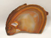 Brazilian Piranha Agate Stone Slab Lapidary Rough Rock #O2