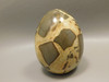 Septarian Nodule Egg Shaped 2.35 inch Polished Rock Utah Stone #O4
