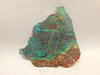 Parrot Wing Chrysocolla Malachite Stone Slab Rough Rock #O12