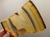 Brazilian Piranha Agate Stone Slab Lapidary Rough Rock #O5