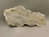 Ocean Jasper Unpolished Stone Slab Natural Lapidary Rock #O5