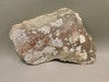 Wild Horse Stone Slab Unpolished Rough Rock Arizona #O5