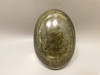 Gold Sheen Obsidian Polished Rock 3.8 inch Massage Palm Stone #0g1