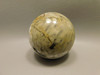 Petrified Palm Wood Sphere 2.15 inch Stone Indonesia #O11