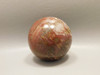 Petrified Wood Sphere Stone 2.25 inch Mineral Ball Madagascar #OM4