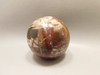 Petrified Wood Sphere Stone 2.25 inch Mineral Ball Madagascar #OM3