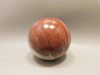 Petrified Wood Sphere Stone 2.25 inch Mineral Ball Madagascar #OM3