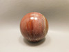 Petrified Wood Sphere Stone 2.25 inch Mineral Ball Madagascar #OM3