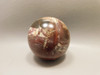 Petrified Wood Sphere Stone 2.25 inch Mineral Ball Madagascar #OM3