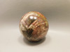 Petrified Wood Sphere Stone 2.25 inch Mineral Ball Madagascar #OM3