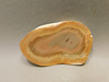 Royal Imperial Jasper Slab Rough Rock Cabbing Cutting #O5