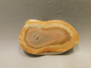 Royal Imperial Jasper Slab Rough Rock Cabbing Cutting #O5